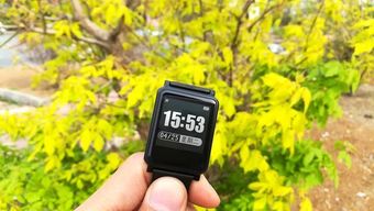 有了這些科技產品，你絕對瘦得起！